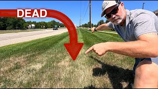 Don’t worry.. It’ll be ok!!! | 3 Issues Your Lawn Might be Facing This Summer