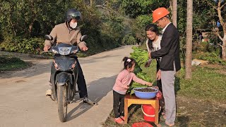 The Engineer And His Daughter Went To Cut Vegetables And The Mother Went To Collect Snails To Sell