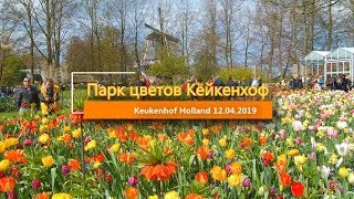 Парк цветов Кёйкенхоф Голландия Нидерланды Holland Keukenhof garden 12.04.2019