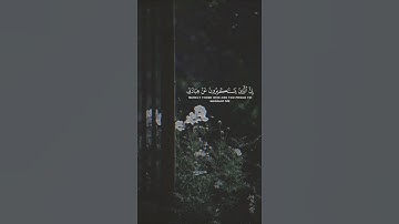 اللهم اجعل القرآن الكريم ربيع قلوبنا #