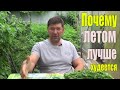 Лучшее время для похудения и тренировок.