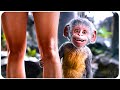 DORA AND THE LOST CITY OF GOLD Best Scenes 4K ᴴᴰ