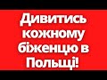 Це важливо знати кожному українському біженцю в Польщі! Новини Польщі