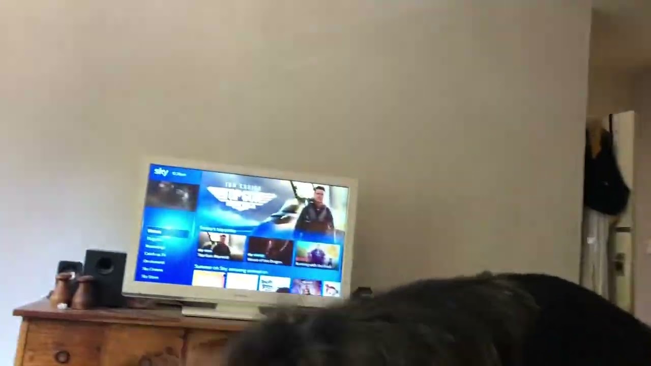 Every time I try to watch tv laying on the bed… 😂🤣😅 YouTube