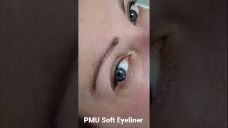 PMU Soft Eyeliner. AcademyS Online PMU course #Shorts screenshot 5