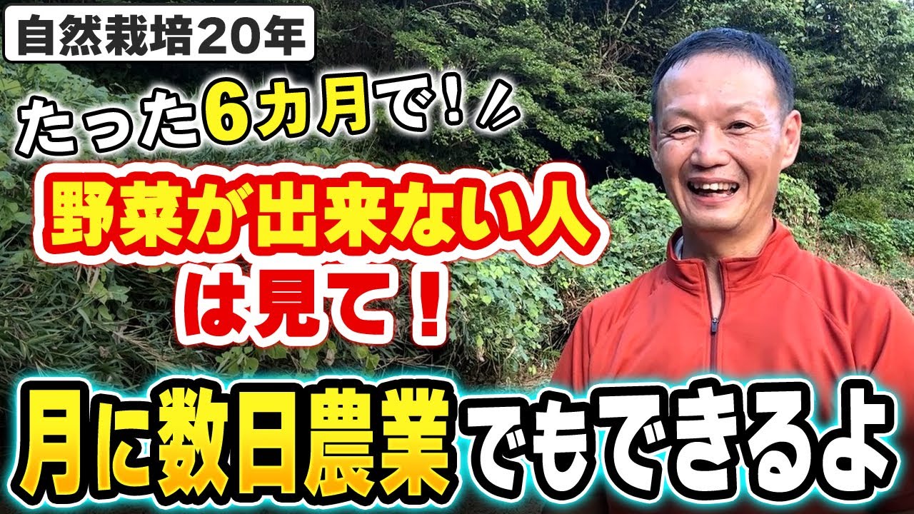 【自然栽培391】野菜が出来ない人！畑の時間がない人！見てみて🌈
