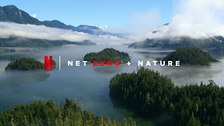 Netflix + Sustainability - Net Zero By the End of 2022