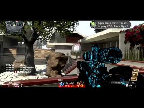 Minitage #1 (Multi-Cod)