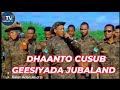 DHAANTO CUSUB LOO QAADAY CIIDANKA JUBALAND IYO JABKII ALSHABAAB FANAANKA CAANKA AH MUXIYADIIN DHAANTO CUSUB LOO QAADAY CIIDANKA JUBALAND IYO JABKII ALSHABAAB FANAANKA CAANKA AH MUXIYADIIN