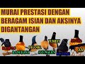 Murai Batu Borneo Dengan Beragam Isian Mewah Dan Aksi Tempur Digantangan Mp3 - Mp4 Download