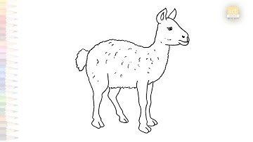 Llama drawings easy 02 | Animal sketches | How to draw A Llama step by step simply | #artjanag