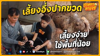 เลี้ยงอึ่งปากขวด ขายเป็นอึ่งไข่ เลี้ยงง่าย ใช้พื้นที่น้อย | เกษตรสัญจร