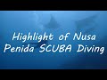 SCUBA Diving Nusa Penida -