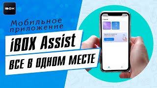 iBOX Assist - Обзор на мобильное приложение! Это отличная замена iBOX DRIVE