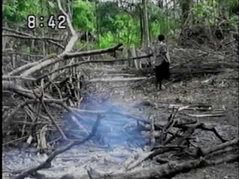 怖いCM コスモ石油CM 2003年頃