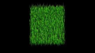 2D Interactive Grass Demo Game Development