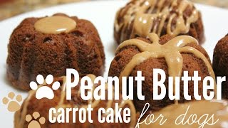 How to Make Peanut Butter Carrot Cake (for dogs) | rachel republic