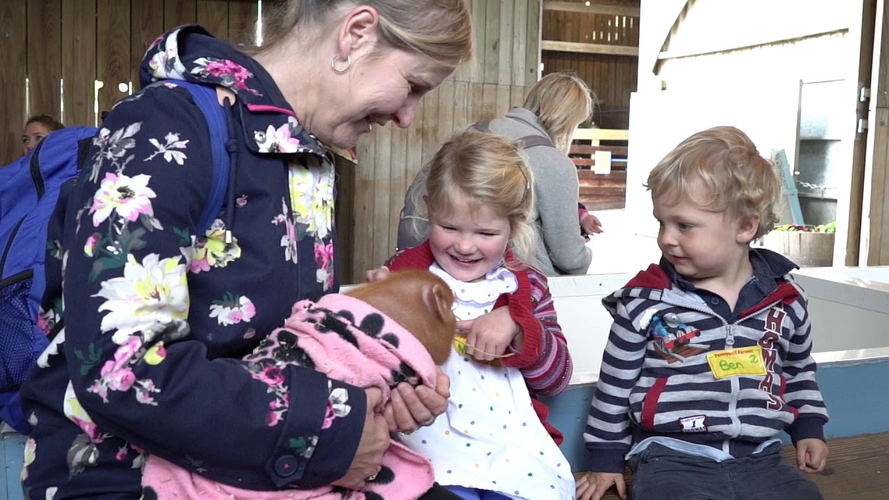 Piggy Cuddles At Pennywell Farm: A Truly Magical Experience For Animal Lovers