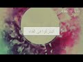 معلومات عن قرية برج النور العرب 