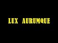 Фильм Вадима Пчёлкина &quot;Lux aurumque&quot; (2016)