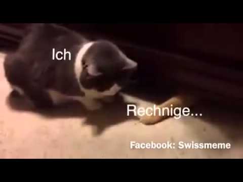Leider wahr
