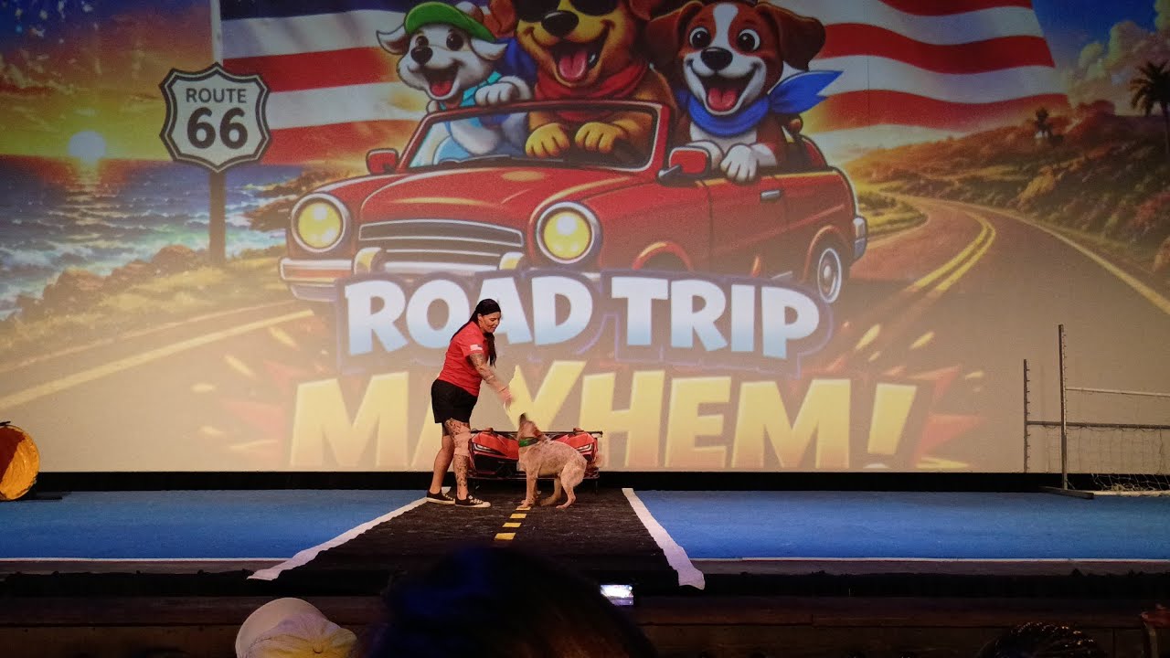 Puppy Pals Presents: Road Trip Mayhem | 7:00pm Show | June 20