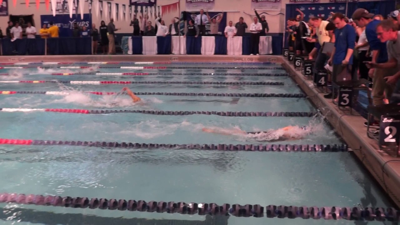 NE10 Swimming and Diving Highlights Day 1 YouTube