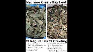 C1 Bay Leaves Explained | Regular vs Grinding Grade | Machine-Cleaned Comparison | Check and decide