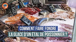 Comment faire fondre rapidement la glace d'un étal de poissonnier ? (Innovation énergétique)