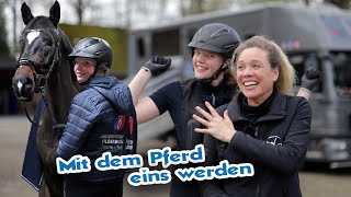 Erfolgreich reiten – Feine Kommunikation mit dem Pferd für ein harmonische Gesamtbild | Reittraining