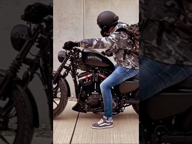 Black beauty || Harley Davidson 😀 || Iron 883  16MILLION🔥#viral #trending #harleydavidson class=