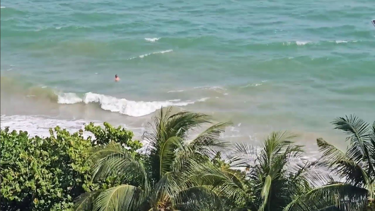 НЯЧАНГ 2025. МОРЕ ИЗУМРУДНОГО ЦВЕТА. ОТДЫХ ВО ВЬЕТНАМЕ. ПОГОДА, ВОЛНЫ И ПЛЯЖ В НОЯБРЕ. 13.11.2025