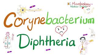 Corynebacterium Diphtheriae Characteristics | Microbiology 🧫 & Infectious Diseases