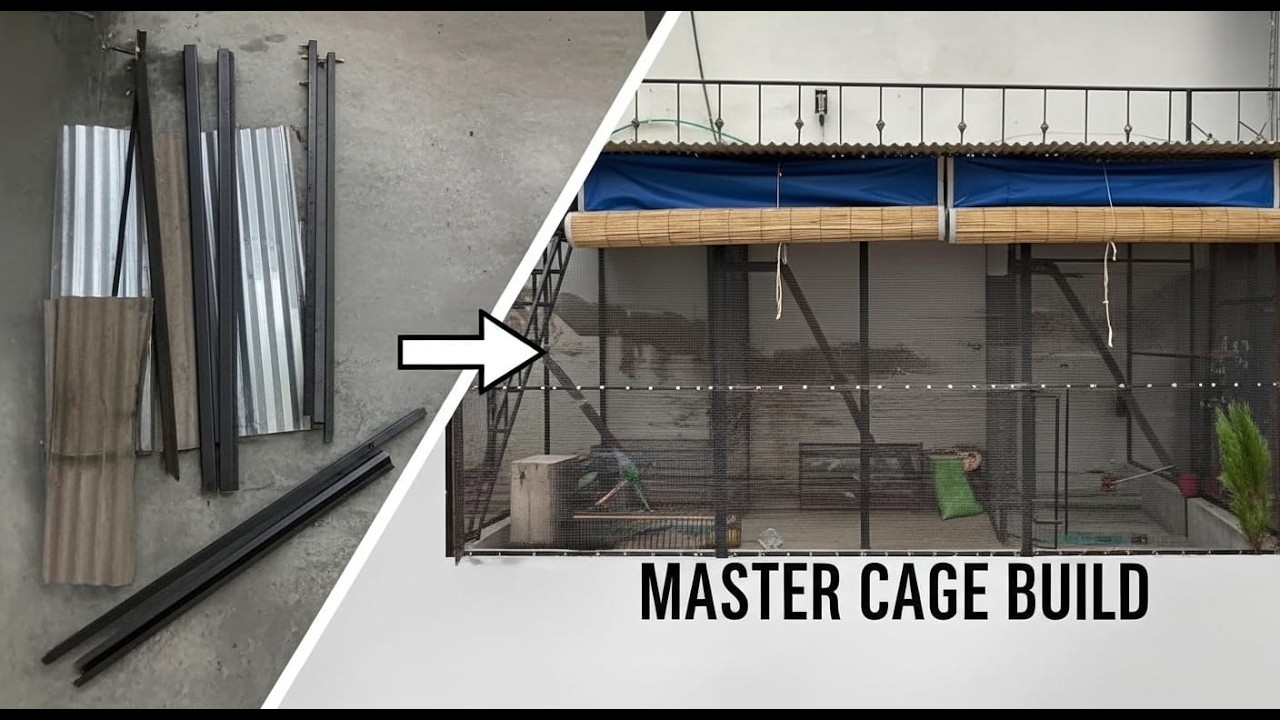 Building a Master Bird Cage | Full Mechanical Style Build