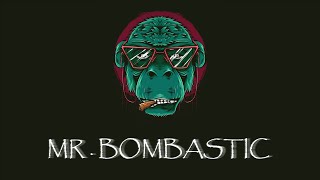 Mr. Bombastic (Tiktok Remix) ||