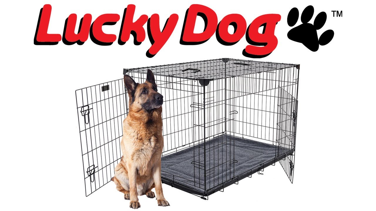 🏆 Quelles sont les meilleures cages pour chiens ? Comparatif févirer 2024