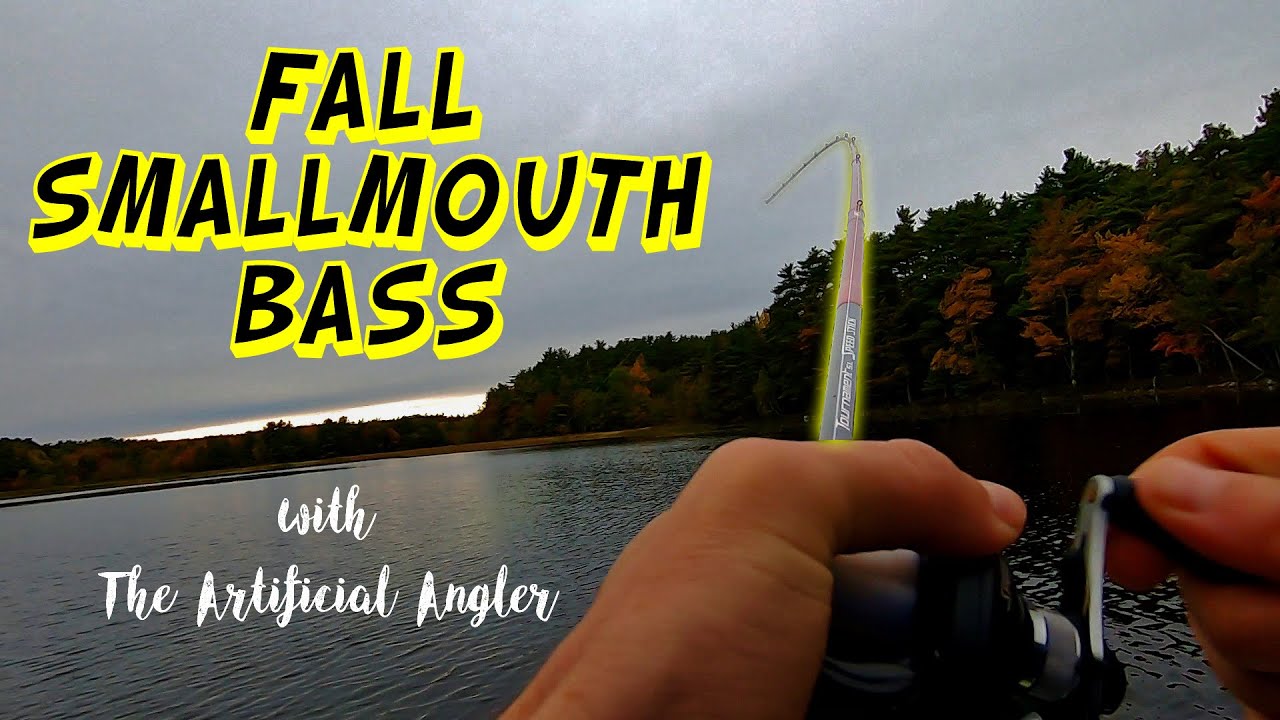 Targeting Fall Smallmouth Bass on a small lake with Topwater and Ned