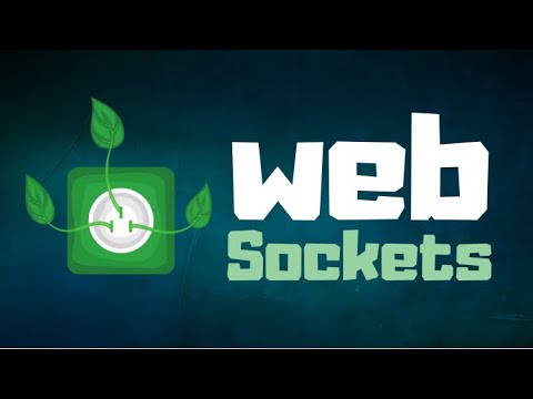 Video: Ce este captura websocket?