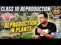 Reproduction class 10/(part 05): Reproduction in plants ..