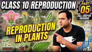 Reproduction class 10/(part 05): Reproduction in plants ..