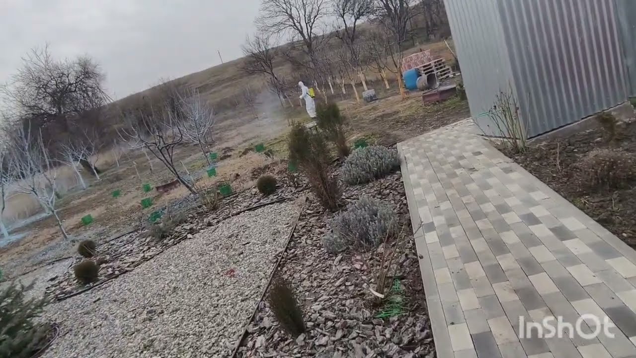 2 марта 2026 г.