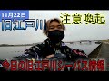 【注意喚起】旧江戸川の事故について。旧江戸川シーバス情報。