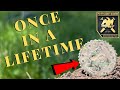 Metal Detecting New York State!  AGAIN!   Potter County Diggers!