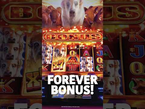 THIS BUFFALO EXPLOSION BONUS GOES ON FOREVER AND WITH A BIG FINISH! #buffaloslotmachine #lasvegas