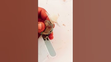 dc motor project | mini motor | motor video | motor project 😳 -#shorts