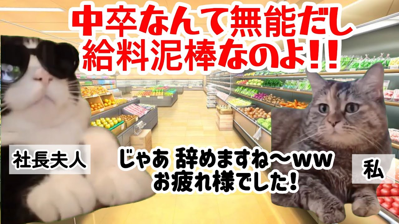 【スカッと猫ミーム】私を侮辱した社長夫人…辞めた瞬間、店が地獄絵図に #猫マニ