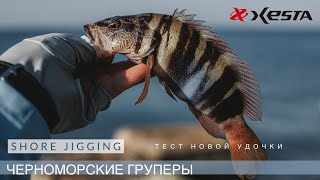 Черноморские груперы на пилькеры. Тест Xesta Runway SRF 10.3M. Shore Jigging на Черном море🎣