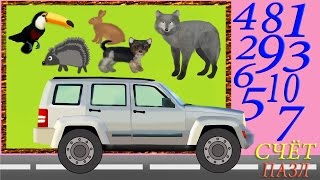 Изучение цифр (чисел, счет) 6-10, пазл, животные. Развивающие мультики Изучение цифр (чисел, счет) 6-10, пазл, животные. Развивающие мультики