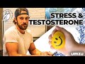 Stress And Testosterone: How To Reduce Stress and Cortisol Hormone