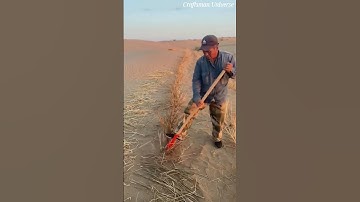 Use of straw to make agriculture workable in deserts
